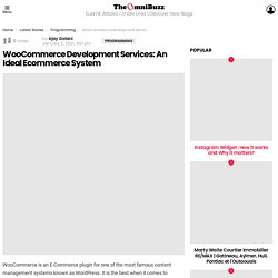 WooCommerce Development Services: An Ideal Ecommerce System