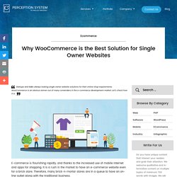 Why WooCommerce is the Best Solution for Single Owner Websites