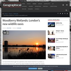 Woodberry Wetlands: London’s new wildlife oasis