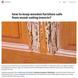 how to keep wooden furniture safe from wood-eating insects?