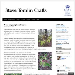 Steve Tomlin Crafts