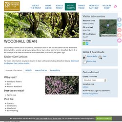 Woodhall Dean reserve - Scottish Wildlife Trust