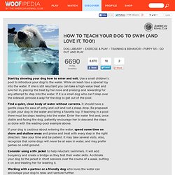 How to Teach Your Dog to Swim (and Love It, Too!)