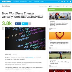 How WordPress Themes Actually Work [INFOGRAPHIC]