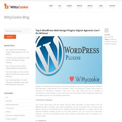 Top 5 WordPress Web Design Plugins Digital Agencies Can’t Do Without - WittyCookie