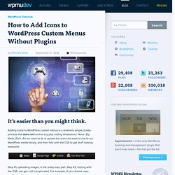 Wordpress Custom Menu Icons