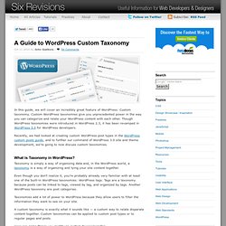 A Guide to WordPress Custom Taxonomy