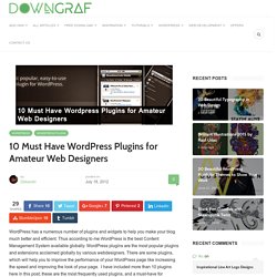 10 Must Have Wordpress Plugins for Amateur Web Designers - Downgraf