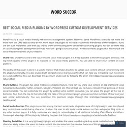 Social Media Plugins Created with WordPress Custom Development Services