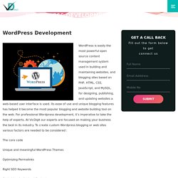 WordPress development - Vicdigit