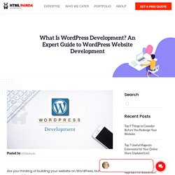 What Is WordPress Development? An Expert Guide to Website Development