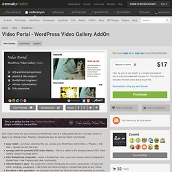 Video Portal - WordPress Video Gallery AddOn