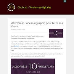 WordPress : une infographie pour fêter ses 10 ans