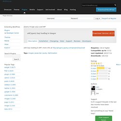jQuery Image Lazy Load WP WordPress Plugins
