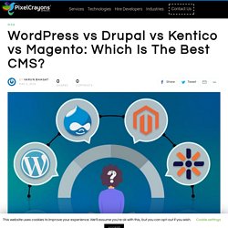 Wordpress vs Drupal vs Kentico vs Magento: Which Is The Best CMS?