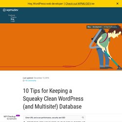 10 Tips for Keeping a Squeaky Clean WordPress (and Multisite!) Database