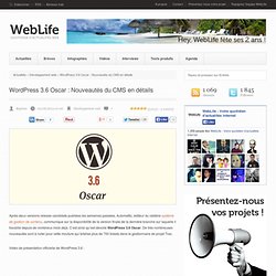 WordPress 3.6 Oscar : Nouveautés du CMS en détails