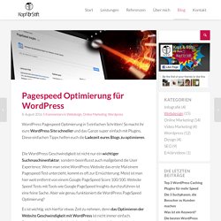 5 Schritte zur Wordpress PageSpeed Optimierung
