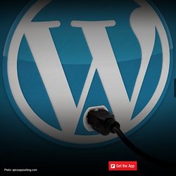 Best Wordpress Plugins > VIEW MORE