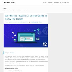 WordPress Plugins: A Useful Guide to Know the Basics