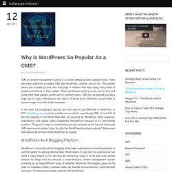 Why is Wordpress The Most Chosen CMS By Webmasters?