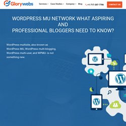 WordPress MU Network What Aspiring and Professional Bloggers Need to Know? - Glorywebs