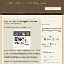 Yegor, un thème premium gratuit WordPress