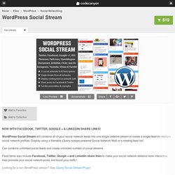 WordPress Social Stream