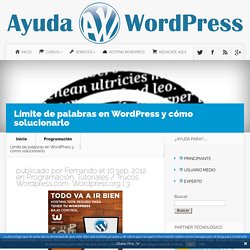 Límite de palabras en WordPress y cómo solucionarlo