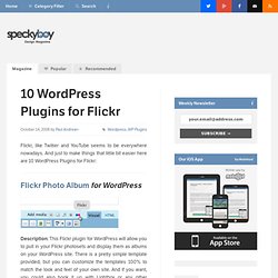 10 Amazing Wordpress Plugins for Flickr