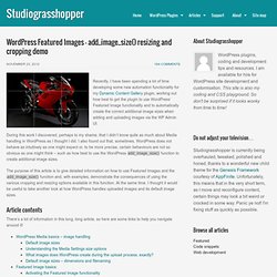 Wordpress Featured Images – add_image_size() resizing and cropping demo — studiograsshopper