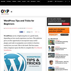 Wordpress Tips and Tricks for Beginners