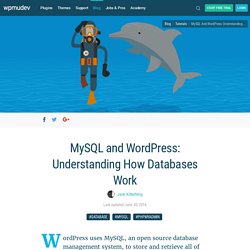 MySQL and WordPress: Understanding How Databases Work