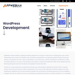 Wordpress Website Development Company in Delhi, Noida, India