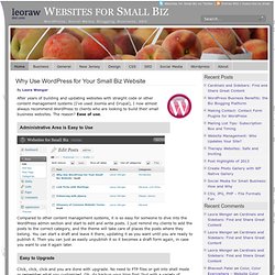 Why Use WordPress for Your Small Biz Website - Websites for Small Biz