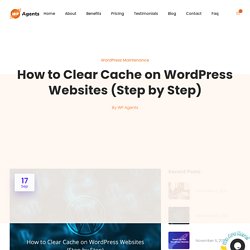 How to Clear Cache on WordPress Websites (Updated)
