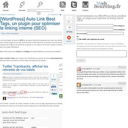 [WordPress] Auto Link Best Tags, un plugin pour optimiser le linking interne (SEO)