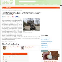 How to Work Full Time & Crate Train a Puppy