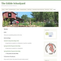 The Edible Schoolyard