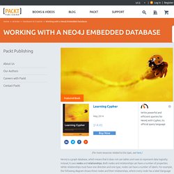 Working with a Neo4j Embedded Database