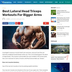 Best Lateral Head Triceps Workouts For Bigger Arms