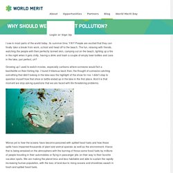 World Merit * - Why Should We Care About Pollution?