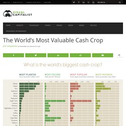 The World's Most Valuable Cash Crop