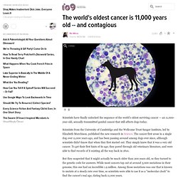 The world's oldest cancer is 11,000 years old