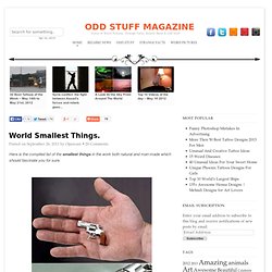 World Smallest Things.