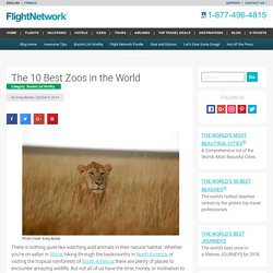 The 10 Best Zoos in the World - Travel Blog by FlightNetwork