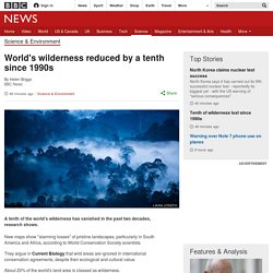 World's wilderness reduced by a tenth since 1990s