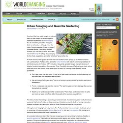 Urban Foraging and Guerrilla Gardening