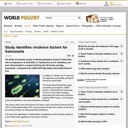 Study identifies virulence factors for Salmonella