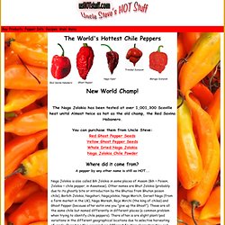 Naga Jolokia - World's Hottest Chile Pepper - Ghost Pepper
